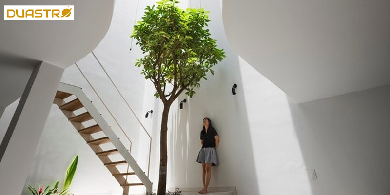 Healthy Indoor Environment - Cleaning and Air Quality